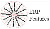 ERP Features